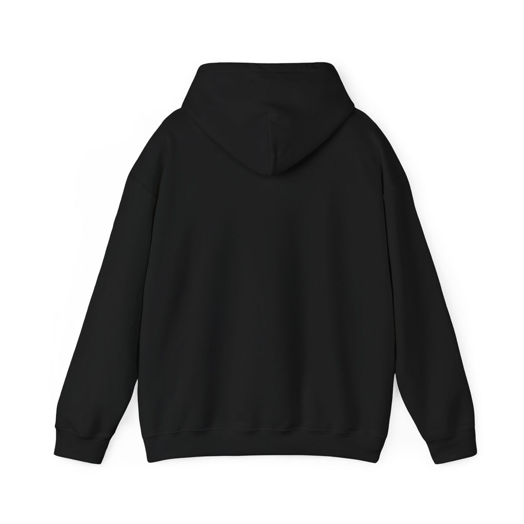 Hoodie — Pink Retro 'Blow Me Bitch' Graphic Pullover