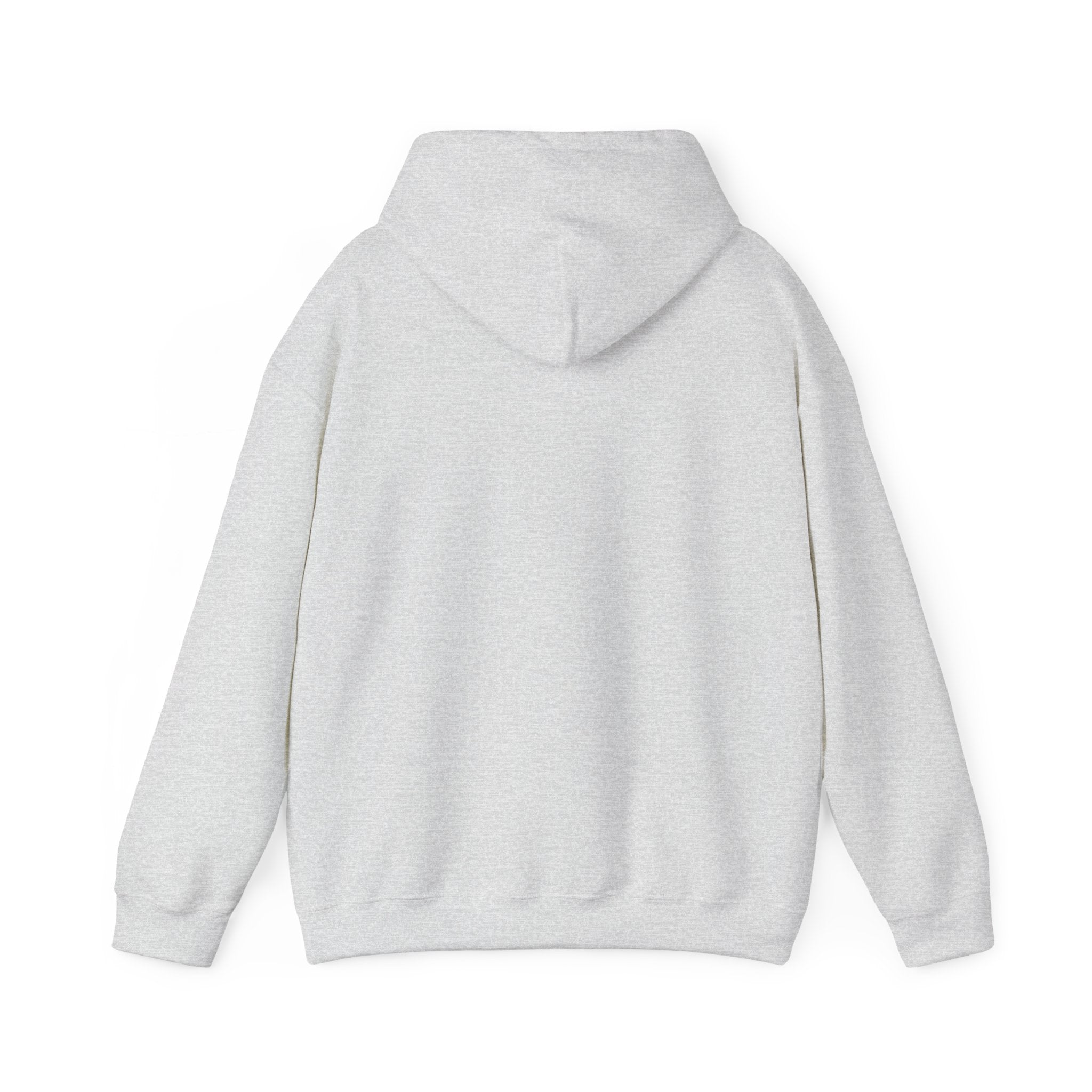 Hoodie — Pink Retro 'Blow Me Bitch' Graphic Pullover
