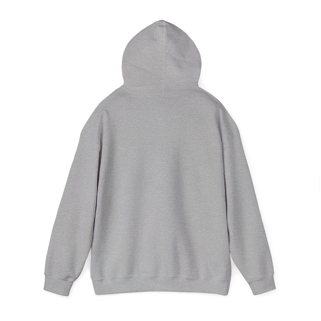 Hoodie — Pink Retro 'Blow Me Bitch' Graphic Pullover