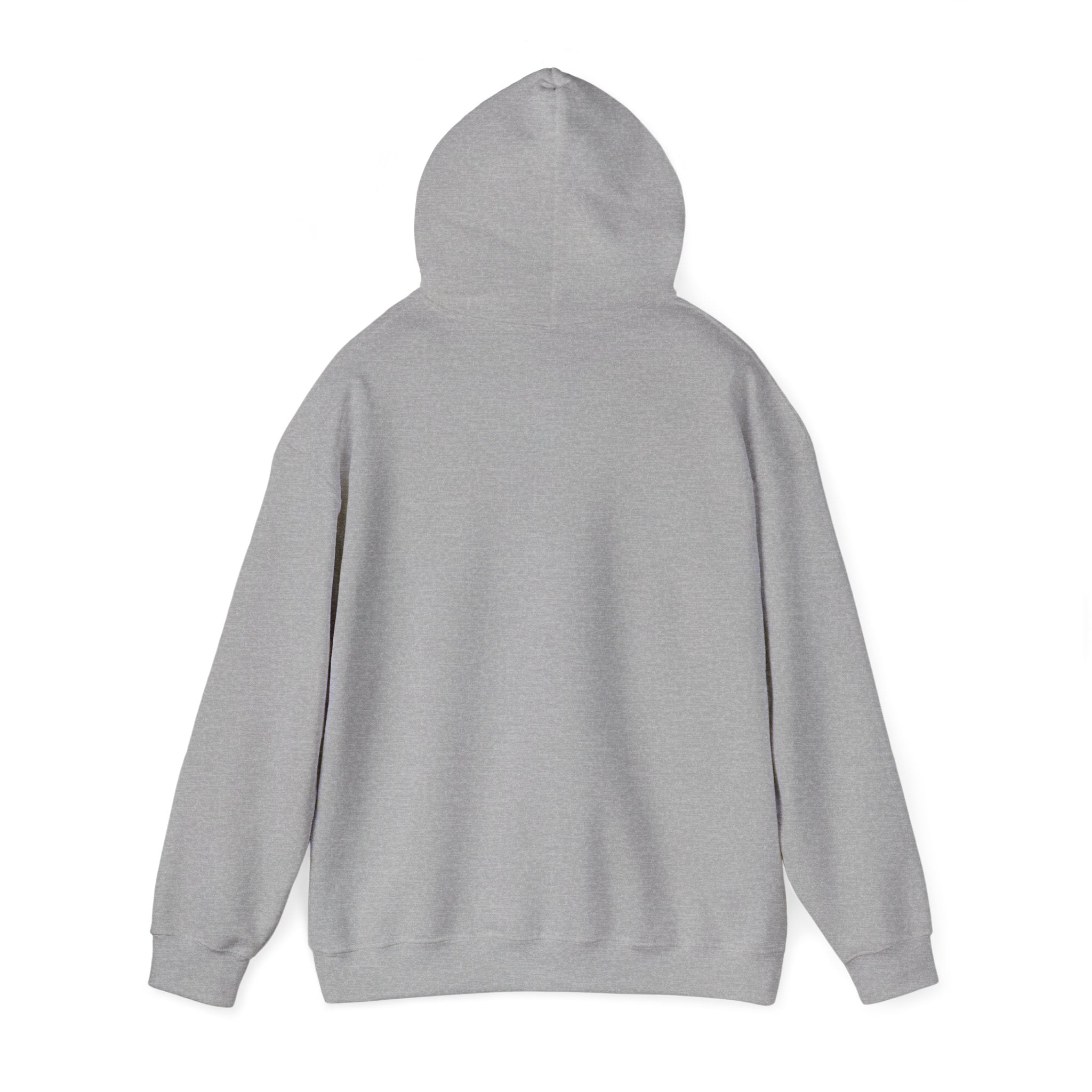 Hoodie — Pink Retro 'Blow Me Bitch' Graphic Pullover