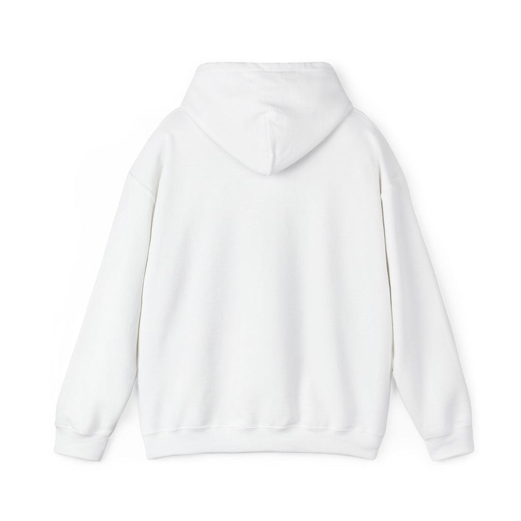 Hoodie — Pink Retro 'Blow Me Bitch' Graphic Pullover