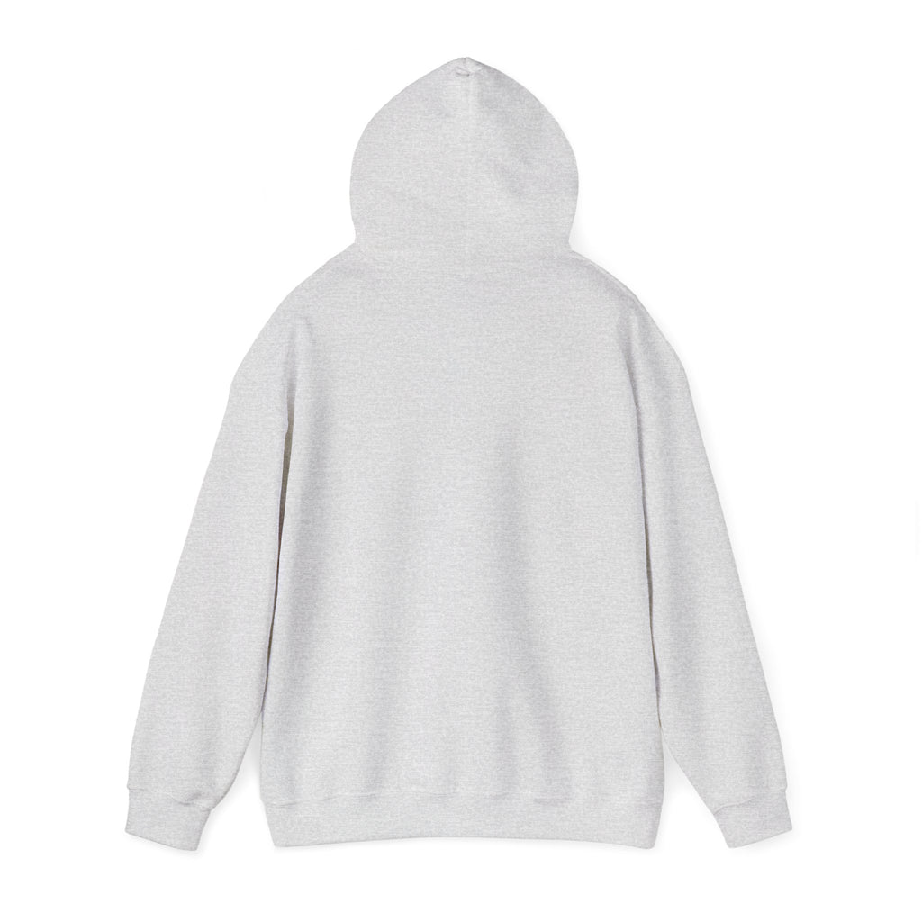 Hoodie — Pink Retro 'Blow Me Bitch' Graphic Pullover