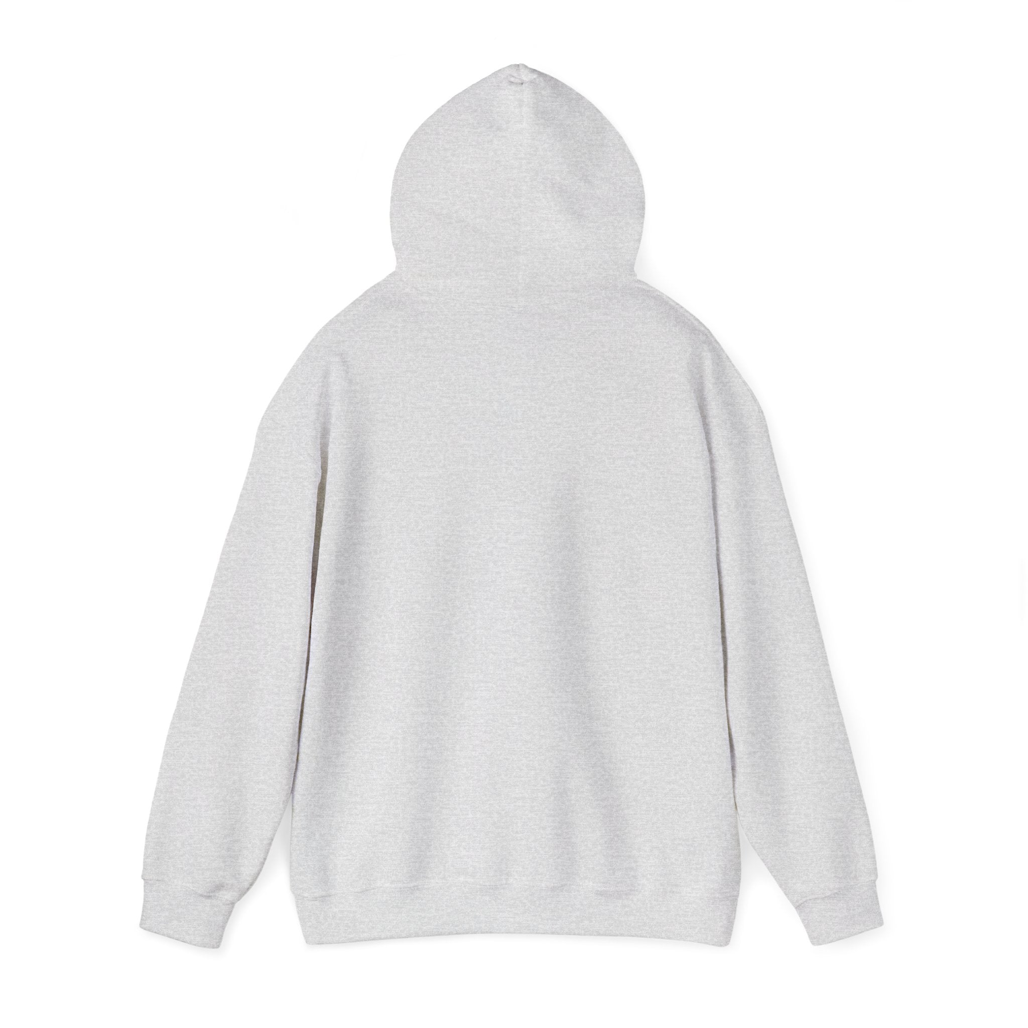 Hoodie — Pink Retro 'Blow Me Bitch' Graphic Pullover