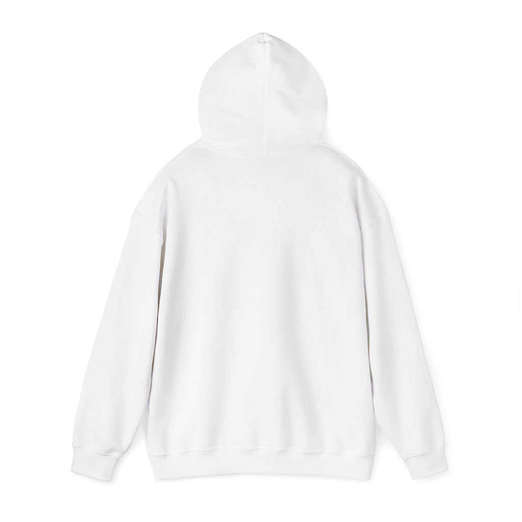 Hoodie — Pink Retro 'Blow Me Bitch' Graphic Pullover