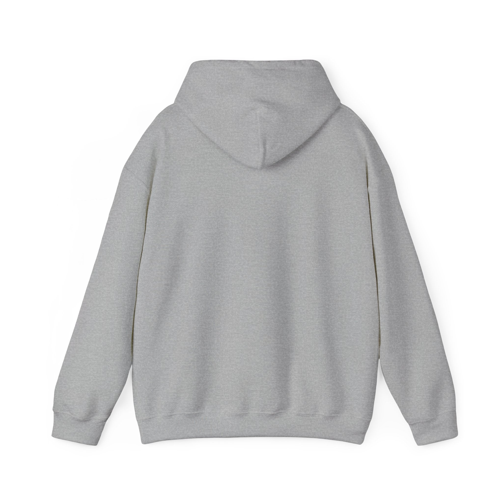 Hoodie — Pink Retro 'Blow Me Bitch' Graphic Pullover
